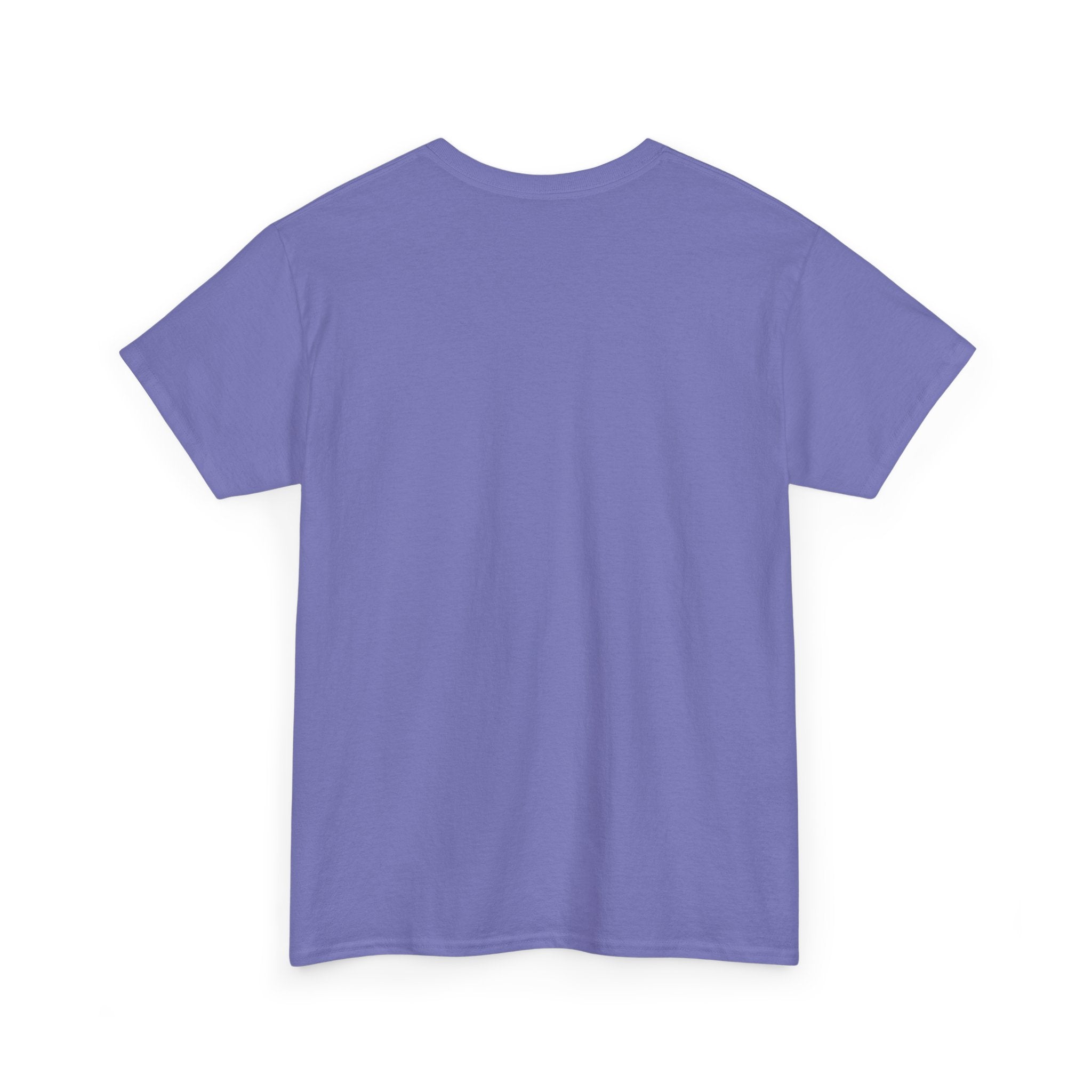 Boxer Champion T-Shirt – "West of Olympus" Gym Boxing Tee